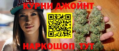 сатива Жуковский